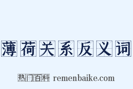 薄荷关系反义词是什么意思的图片